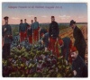 Kriegsgefangene Franzosen Feldarbeit 1914-15 Generalkommando