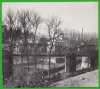 Dommeldange Charlys Breck Luxembourg Ch. -L. Mayer Dummeldeng