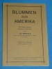 Blummen aus Amerika J.B. Merkels 1921 1977 Luxembourg Chicago pa