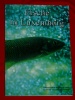 Fische in Luxemburg 1998 Kartierung Fische Neunaugen Flusskrebse