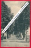 Ulflingen Troisvierges 1911 Linden Allee Luxembourg Herm Wagener