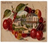 Mondorf les Bains 1910 Vue du Parc N. Schumacher