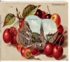Diekirch Rue de Stavelt Th.Mannon